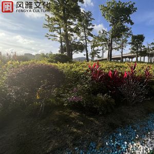 表妺用白丝脚帮我脚交网站
